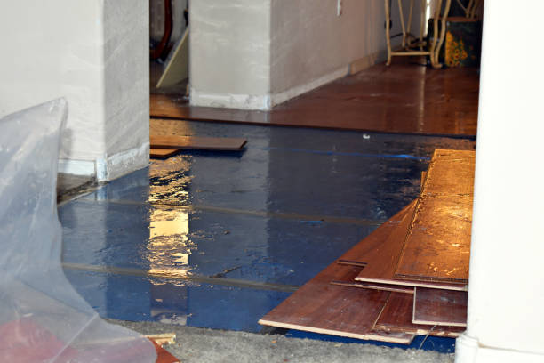 Professional Water Damage Restoration technician working in Woodlawn, VA